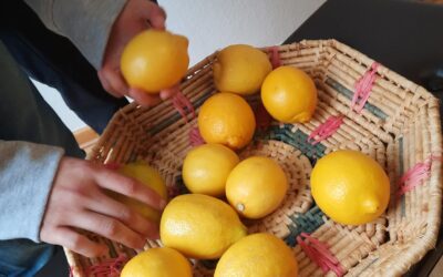 Antidiskriminierungstage mit dem GRO