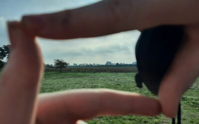 Erlebnistag im Park links der Weser