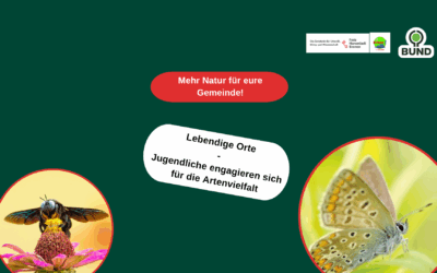 Lebendige Orte – Jugendliche engagieren sich für Artenvielfalt