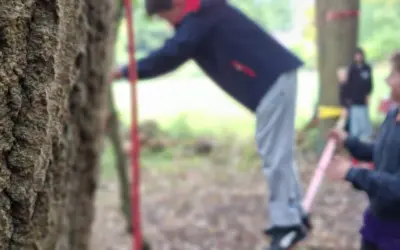 Frösche, Freundschaft und eine Klasse